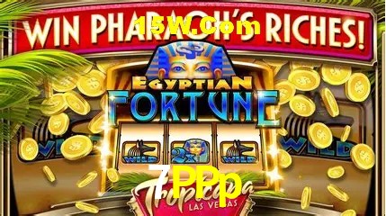 Live Casino 7PPp